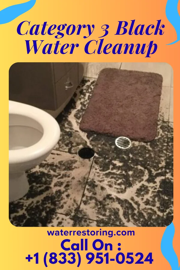 Category 3 Black Water Cleanup in Quogue, NY