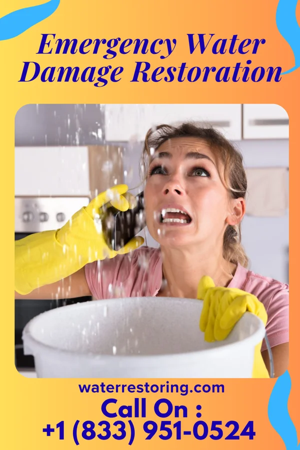 Emergency Water Damage Restoration in Quogue, NY