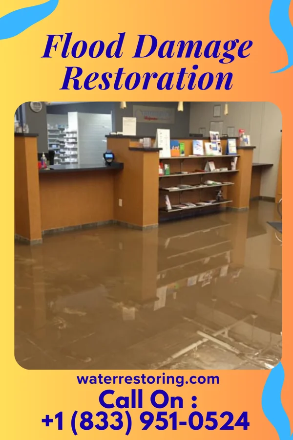 Flood Damage Restoration in Quogue, NY