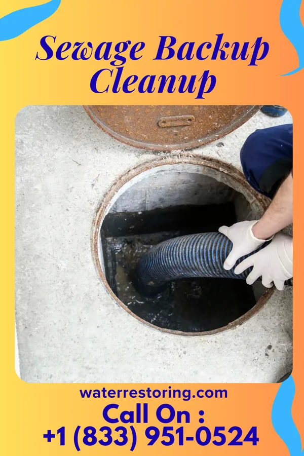 Sewage Backup Cleanup in Quogue, NY